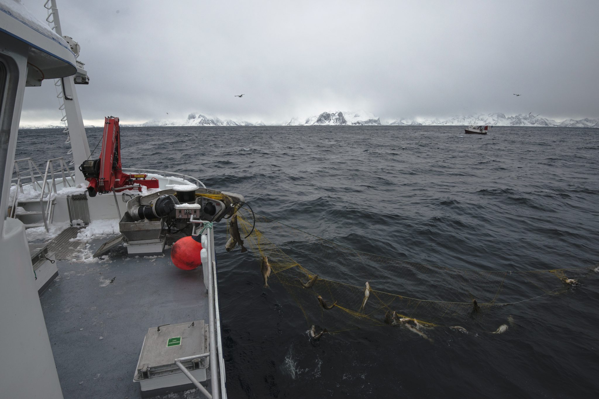 videoproduksjon og film for bedrifter av reklamebyrå osberget as