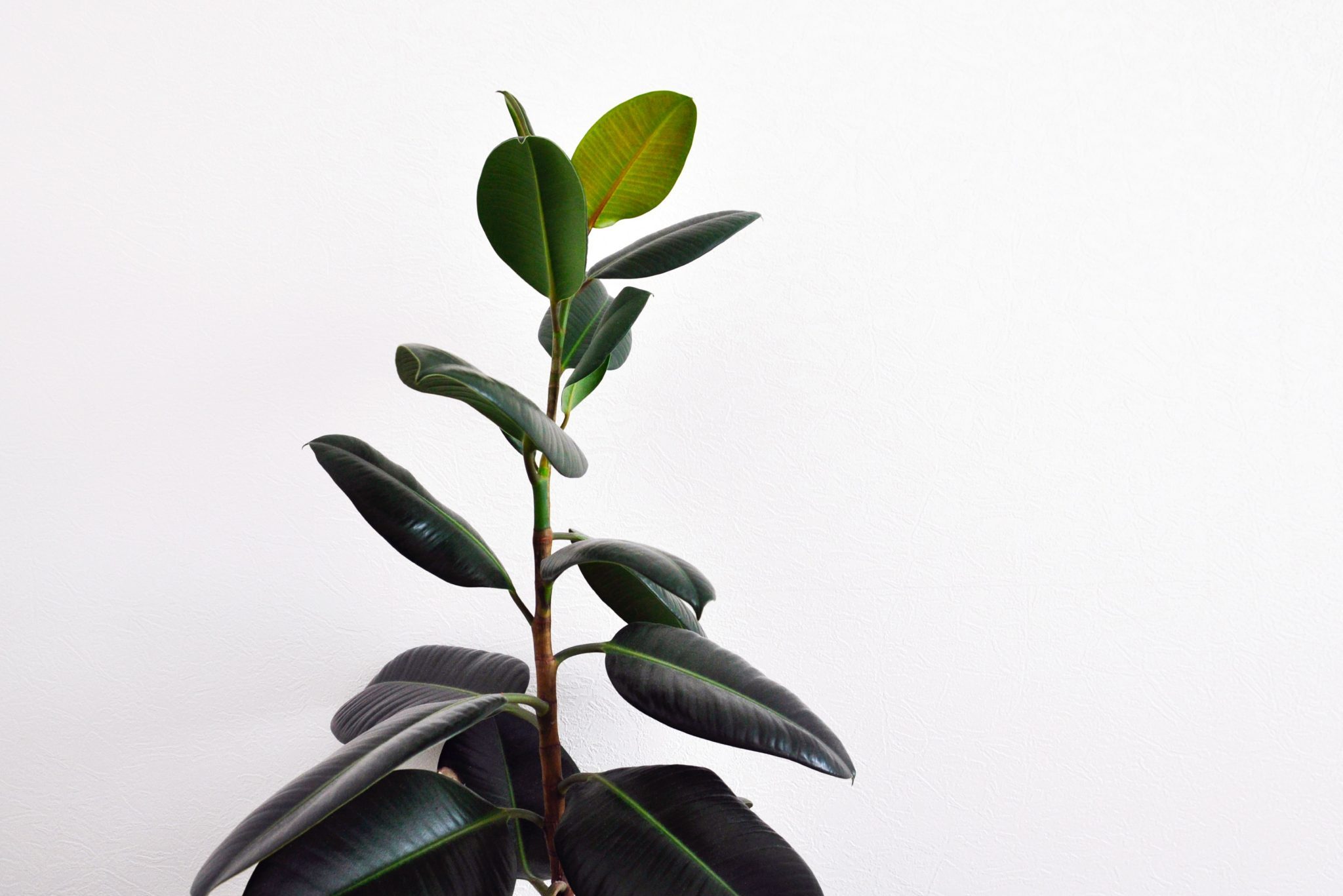 bildekonsept for huskatalog av designbyrå fantastiske osberget