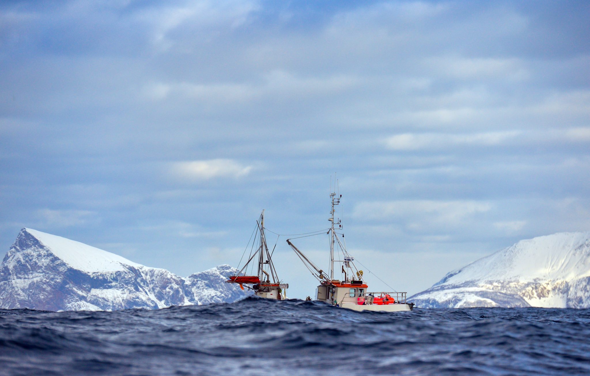 programmering av nettside for medlemsorganisasjon av webbyrå osberget as i ulsteinvik