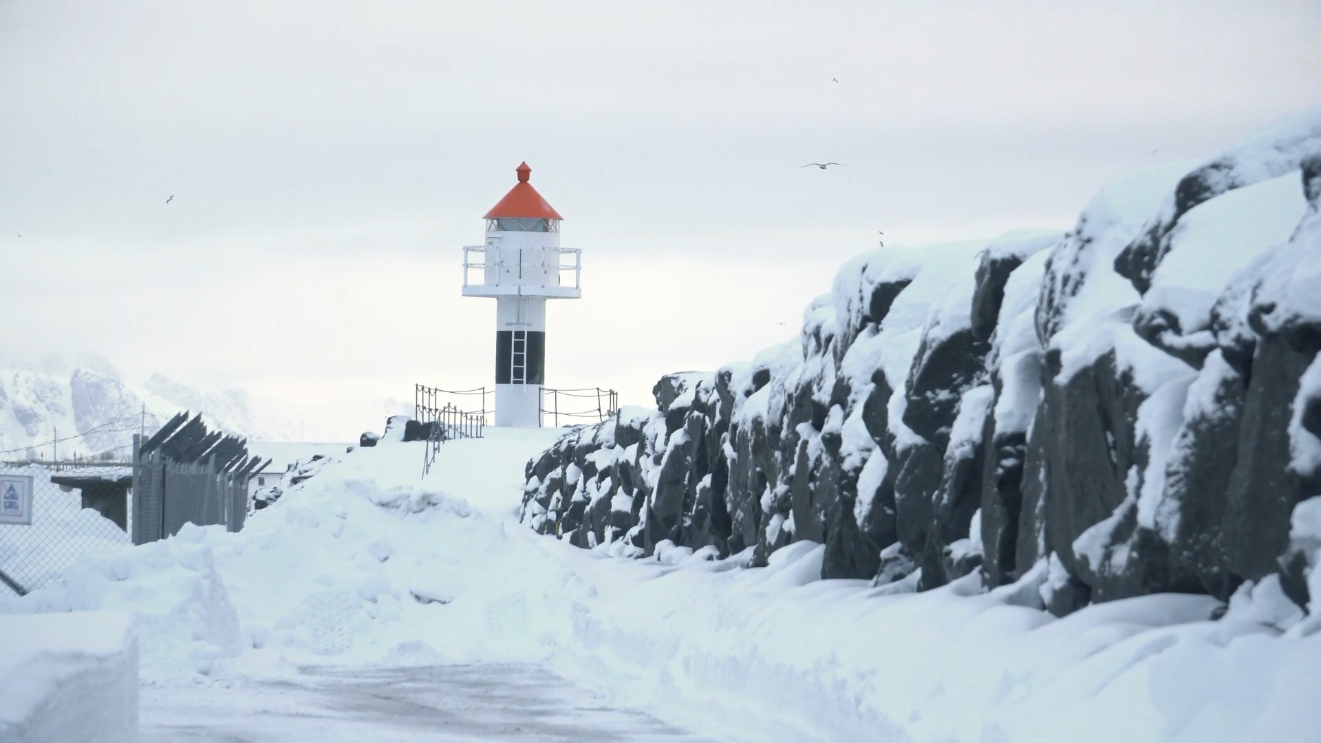 manus og film av informasjonsvideo for bedrifter