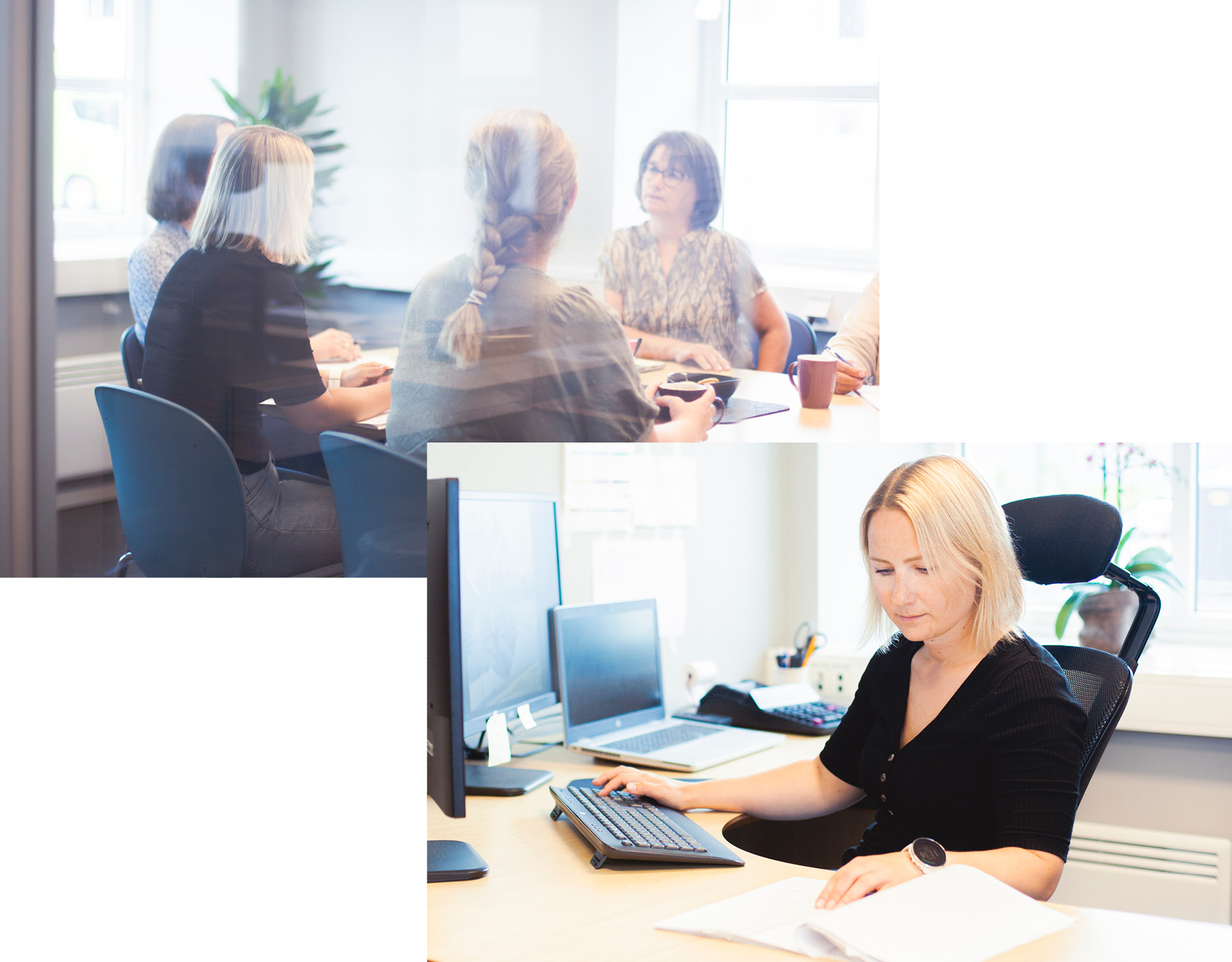 Fantastiske Osberget Fotografering Collage kontorlandskap