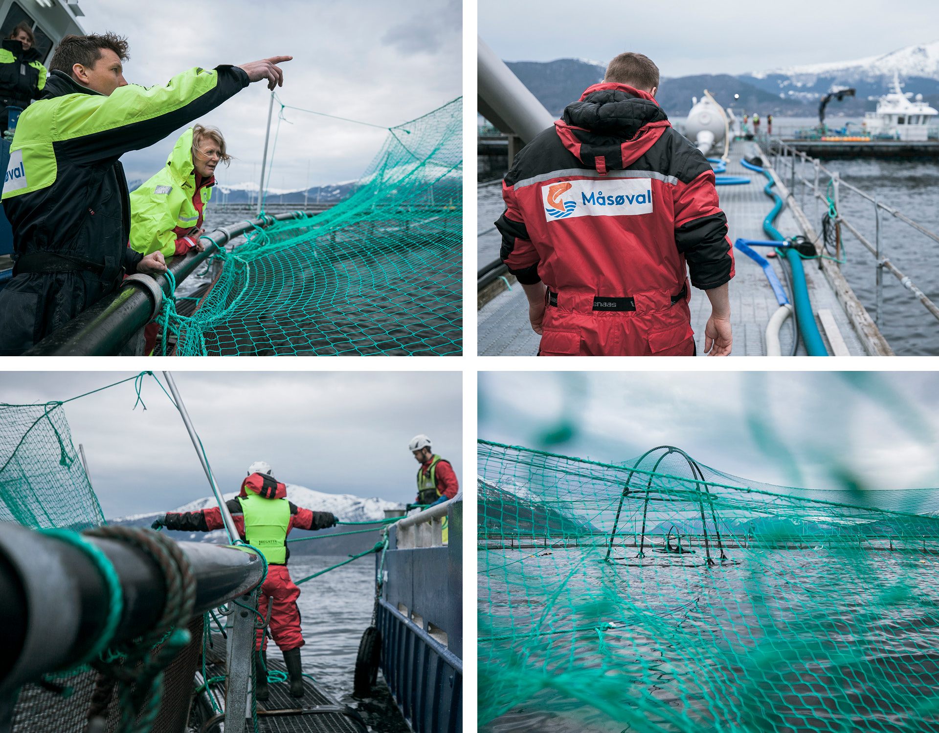 Fantastiske Osberget Fotografering Måsøval location