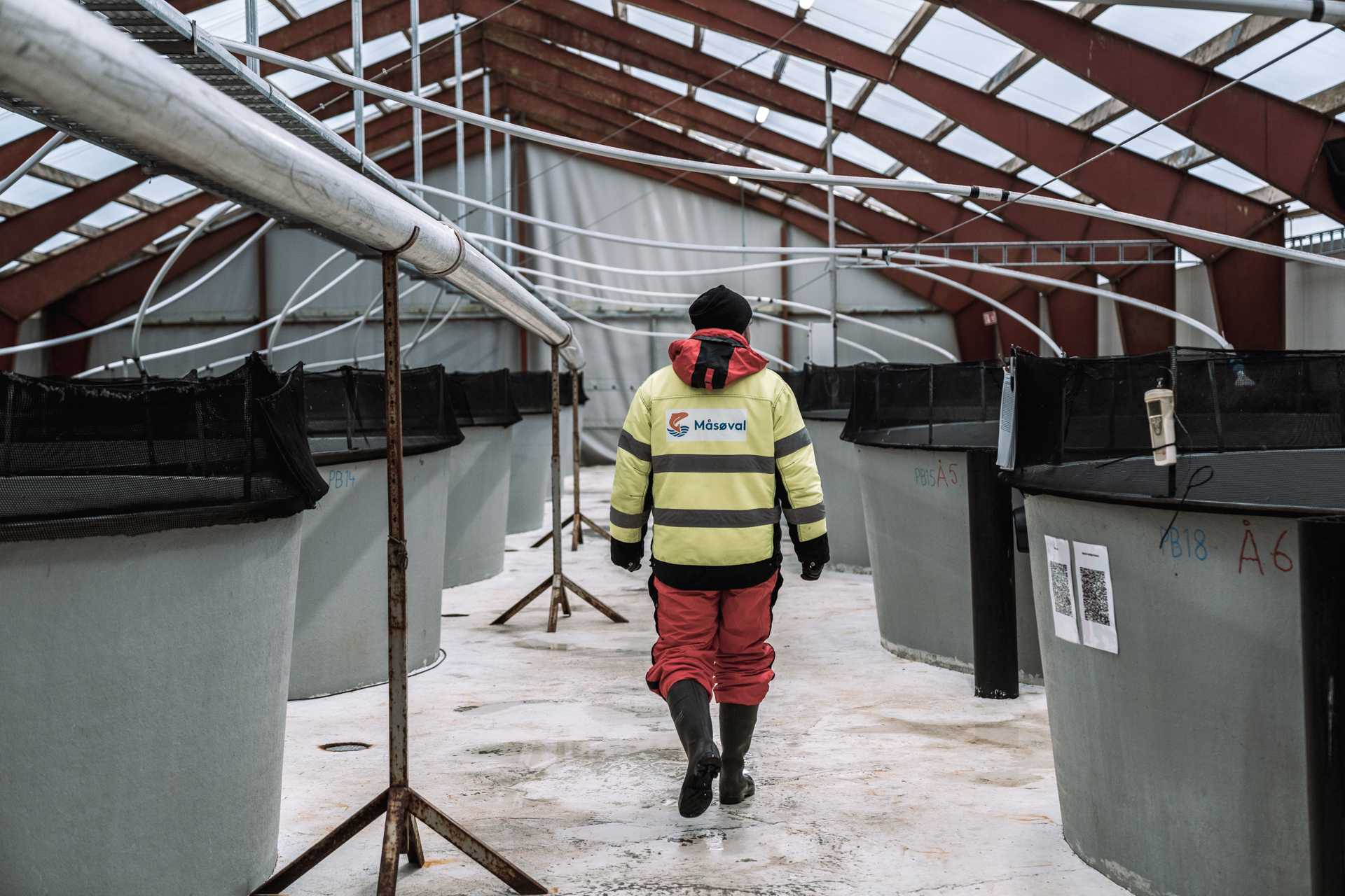 Foto av en arbeider på fiskeoppdrettet